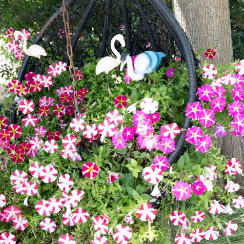 WhatsApp Image 2023-07-04 at 13.51.14 (1)